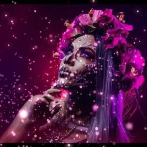 Meet your Posher, Freddy